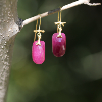 Ruby 18k Branch Earrings Image