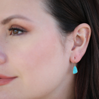 Chrysocolla Drusy Earrings Image