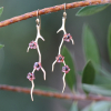 Garnet and Black Diamond Blossom Earrings