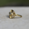Talisman Engraved Starlight Diamond Ring