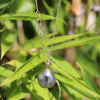 Asymmetrical Keishi Pearl Necklace