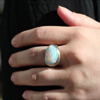 Opalized Wood All 14k Gold Ring