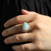 Opalized Wood All 14k Gold Ring