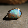 Opalized Wood All 14k Gold Ring