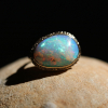 Opalized Wood All 14k Gold Ring