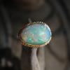 Opalized Wood All 14k Gold Ring