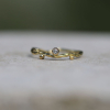 Gold Seafire Band Ring with Diamond