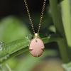Favia Fossilized Coral Necklace