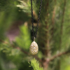 Double Almond Silver and Gold Long Necklace