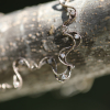 Swirl White Gold Diamond Bracelet