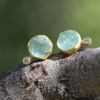 Aquamarine Crystal and Diamond Gold Earrings