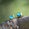 Rough Turquoise Gold Post Stud Earrings