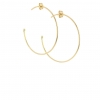 Medium 18k Yellow Gold Hoop Earrings