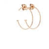 Small Rose Gold Hoop Earrings