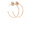 Small Rose Gold Hoop Earrings