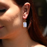 Rectangular Rainbow Moonstone 18k Branch Earrings Image