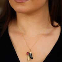 Gold Scavenger Necklace with Black Onyx, Rubelite Tourmaline Image