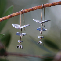 Silver Eucalyptus Earrings Image