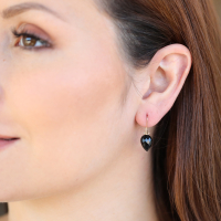 Onyx Simple Bug 14k Gold Earrings Image
