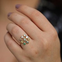 Multi Gemstone Super Couronnee Ring Image