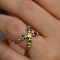 Multi Gemstone Croisee Ring Image