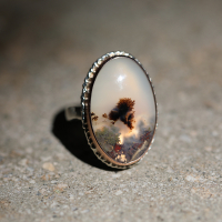 Moss Agate Silver and Gold Ring Image