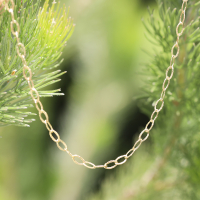 Textured 14k Gold handmade Chain Image