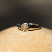 Small Diamond Signet Pinky Ring Image