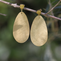 Large Gold Oval Hanging Earrings Image