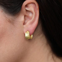 Wide Concave Hoop Earrings Image