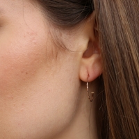 Small Rose Gold Hoop Earrings Image