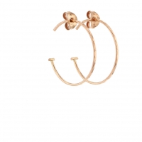 Small Rose Gold Hoop Earrings Image