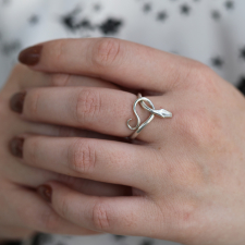 Silver Serpent Ring with Diamond Eyes Image