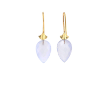 Blue Chalcedony Simple Bug Earrings Image