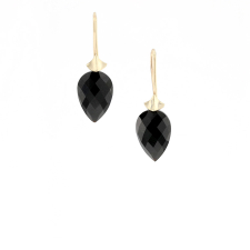 Onyx Simple Bug 14k Gold Earrings Image