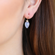 Blue Chalcedony Simple Bug Earrings Image