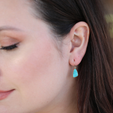 Chrysocolla Drusy Earrings Image