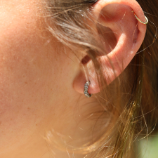 Small Diamond White Gold Hoops Image