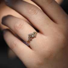 Yellow Gold 12 Brown Diamond Cluster Ring Image